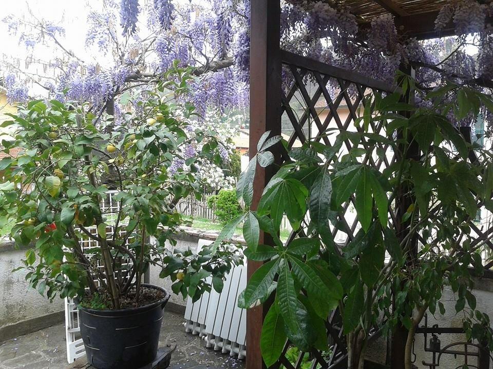 Il Ghiro B&B Riccο del Golfo di Spezia Εξωτερικό φωτογραφία