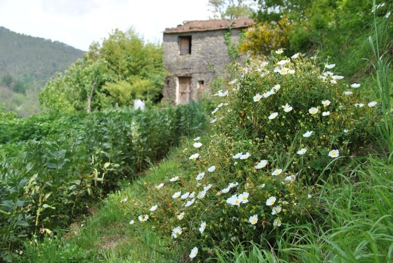 Il Ghiro B&B Riccο del Golfo di Spezia Εξωτερικό φωτογραφία