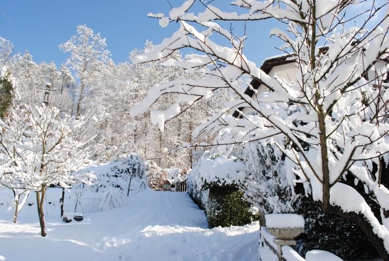 Il Ghiro B&B Riccο del Golfo di Spezia Εξωτερικό φωτογραφία