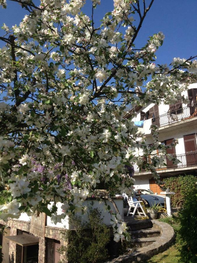 Il Ghiro B&B Riccο del Golfo di Spezia Εξωτερικό φωτογραφία