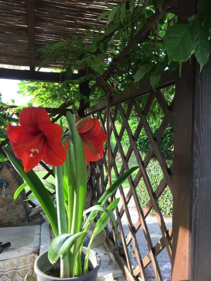 Il Ghiro B&B Riccο del Golfo di Spezia Εξωτερικό φωτογραφία
